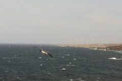 20190605_173041-scaled