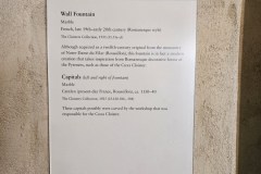 20251004_110109