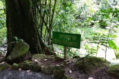 3b.-Faarumai-Waterfall-2-scaled