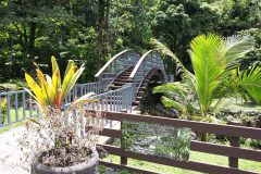3b.-Faarumai-Waterfall-3-scaled