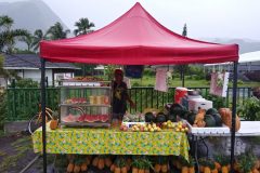 4c.-Fruit-stand-1-scaled